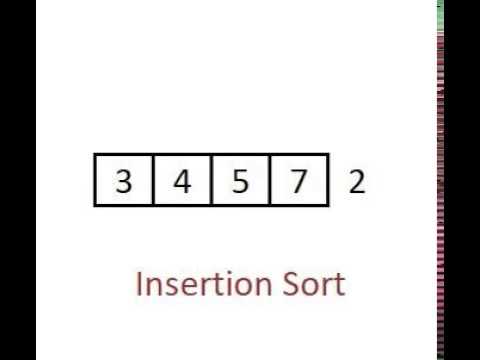 Insertion Sort - Animation Video