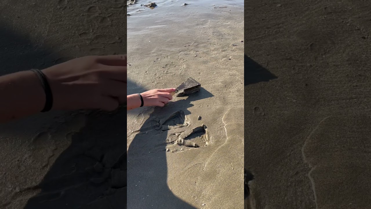 #amMeer: Connecting Creators & Fans