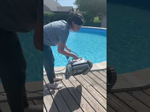 Dolphin Robotic Pool Vacuum Review | Easiest Way to Clean Your Above-Ground Pool!