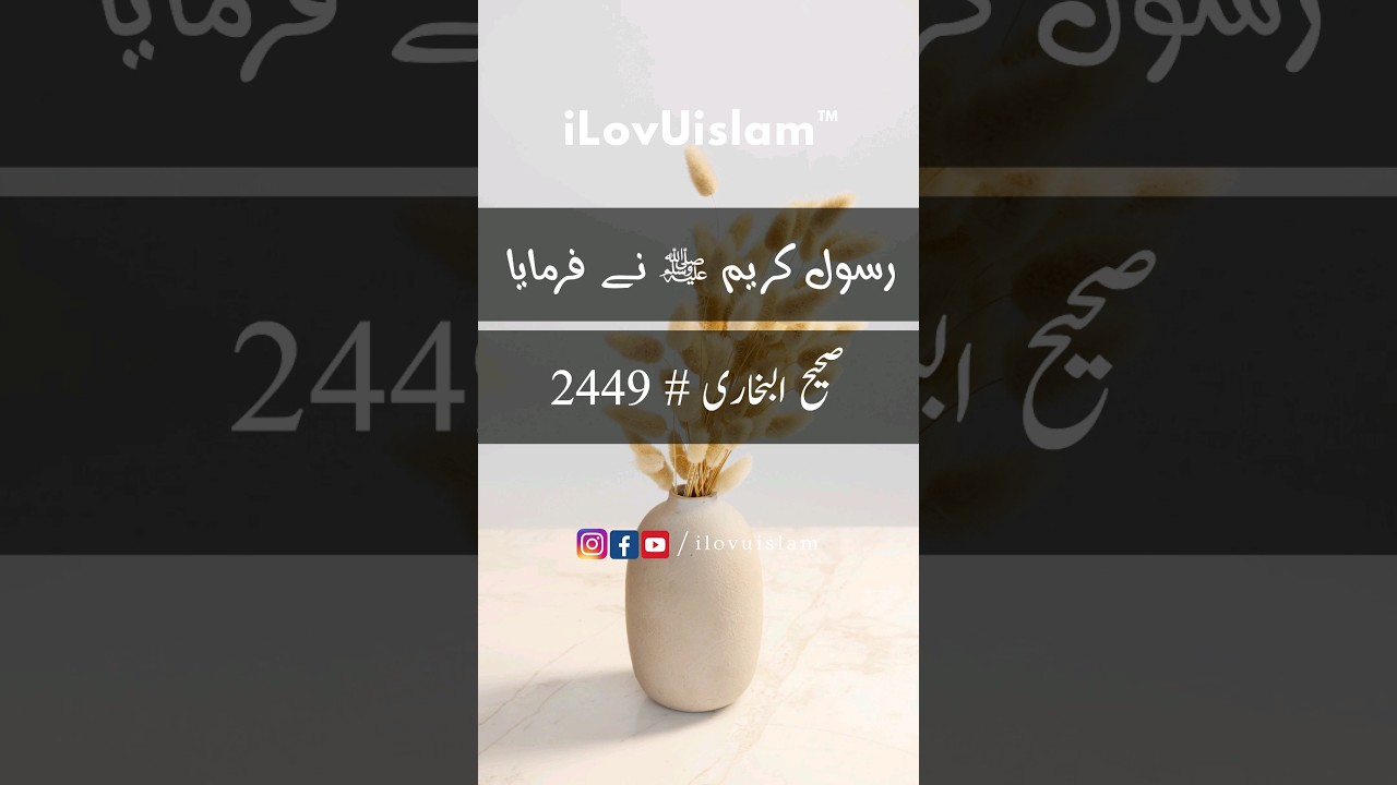 Authentic Hadith from Sahih Bukhari #2449 – Key Insights in Islam 📖