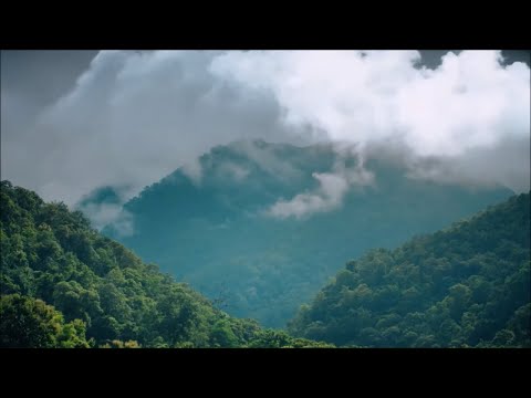 Самая красивая мелодия на свете Для Души! Послушайте! Волшебная флейта! Релакс