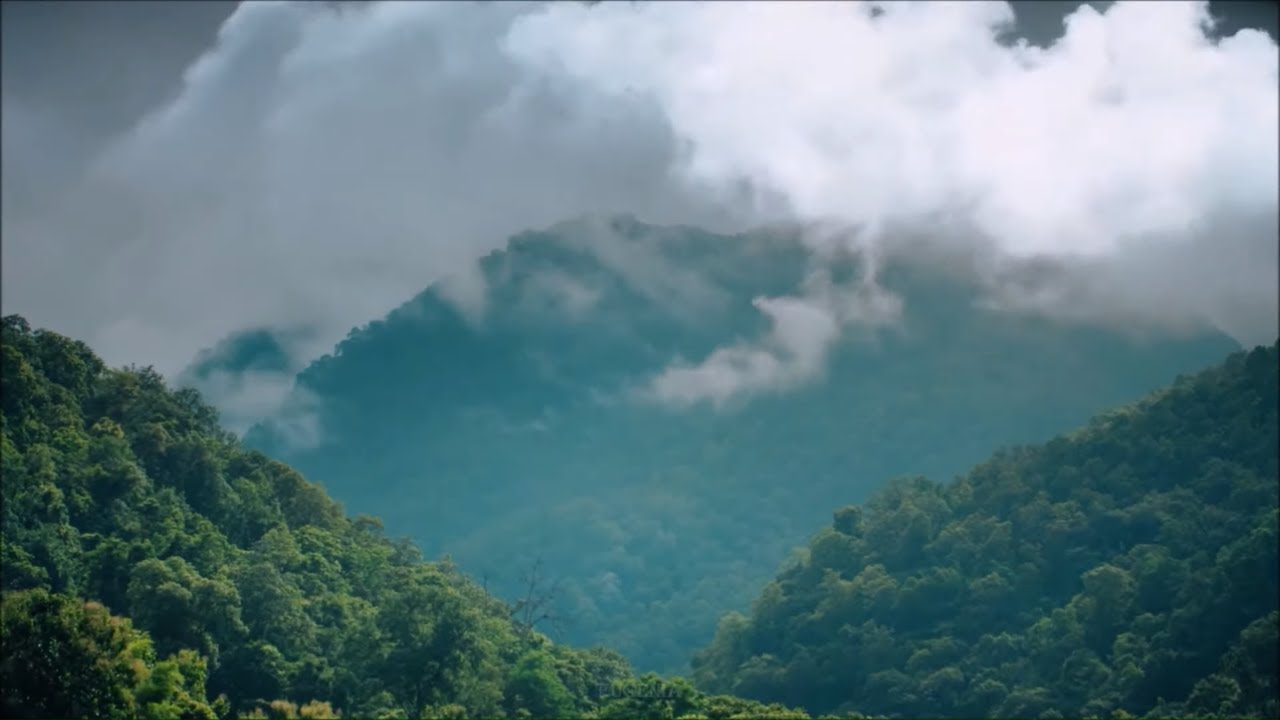 Самая красивая мелодия для Души 🎶