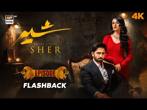 Sher Episode Flashback 🔥 | 2 October 2025 | Danish Taimoor | Sarah Khan | ARY Digital Drama