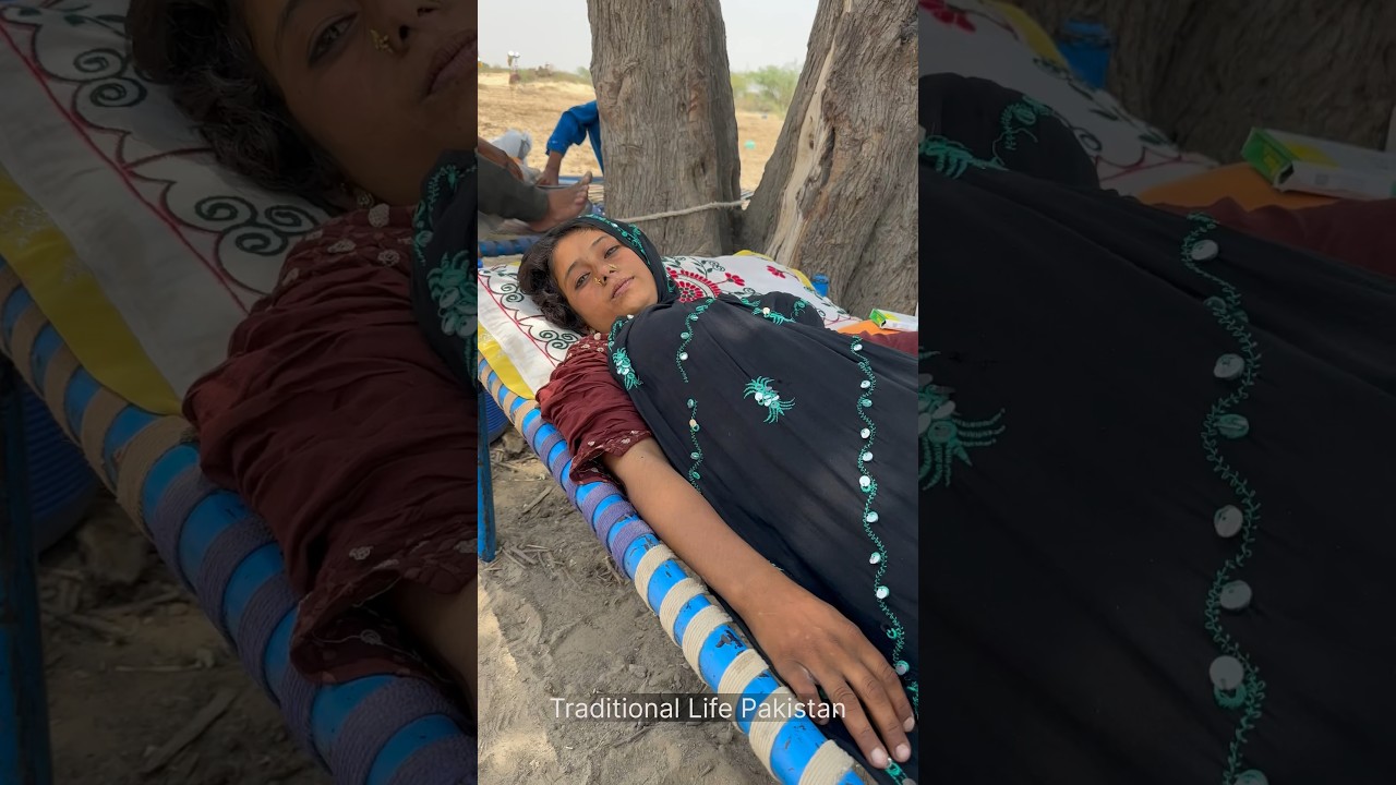 Desert Village Life with Camels in India 🐪