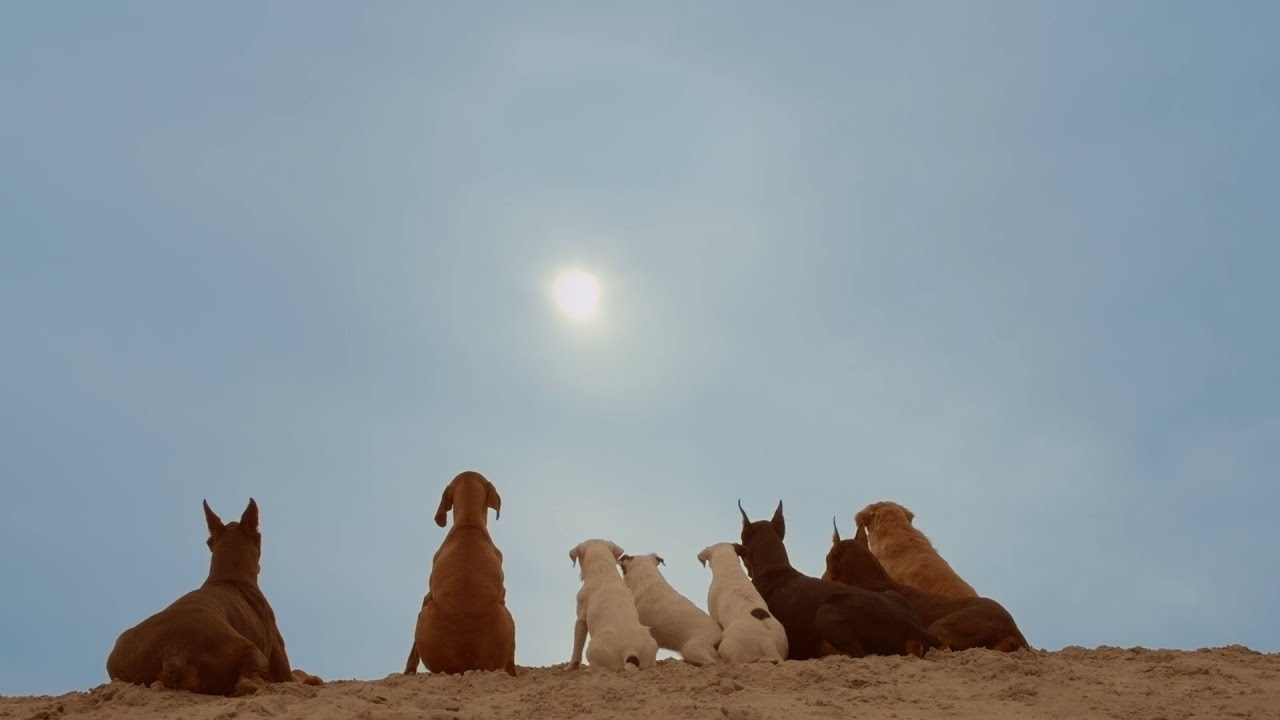 Philippe B. - Nous irons jusqu'au soleil ☀️ | Nouvelle sortie et détails