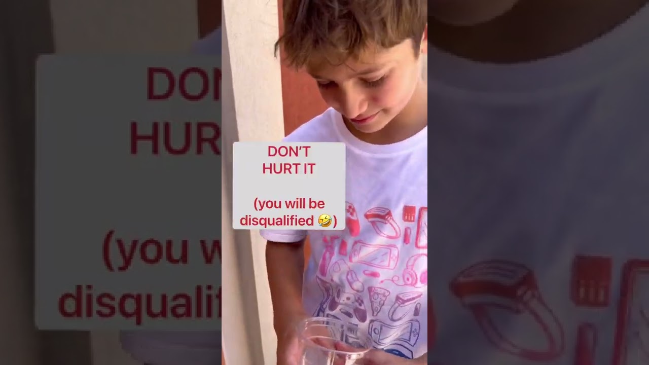 Eat the Bug or Hold It? Challenge with Nidal Wonder