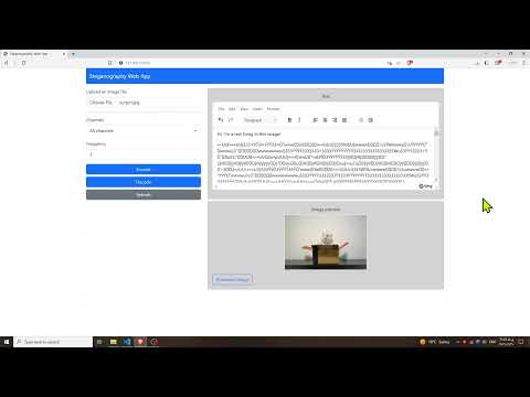 Steganography Web App Demo + Code