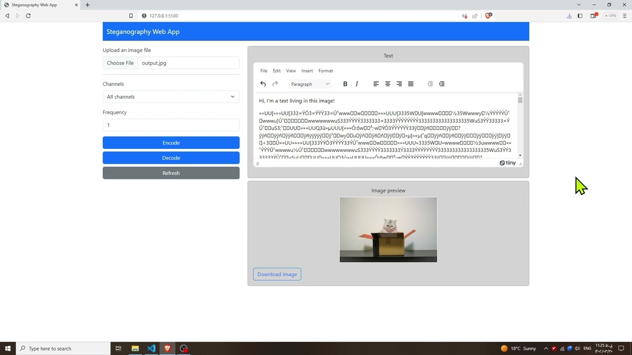 Discover My Steganography Web App: Encode Secret Messages Easily 🔐