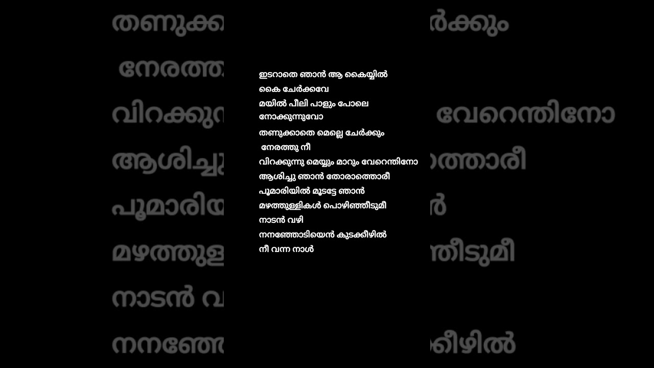 Mazhathullikal Pozinjeedumi Lyrics ✨ - Vettam Movie