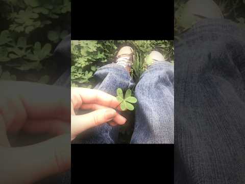 dreamy aesthetic 💚🌱☘️. #aesthetic #dreamyaesthetic#nature#green #exploreshorts(pic credit—pinterest)