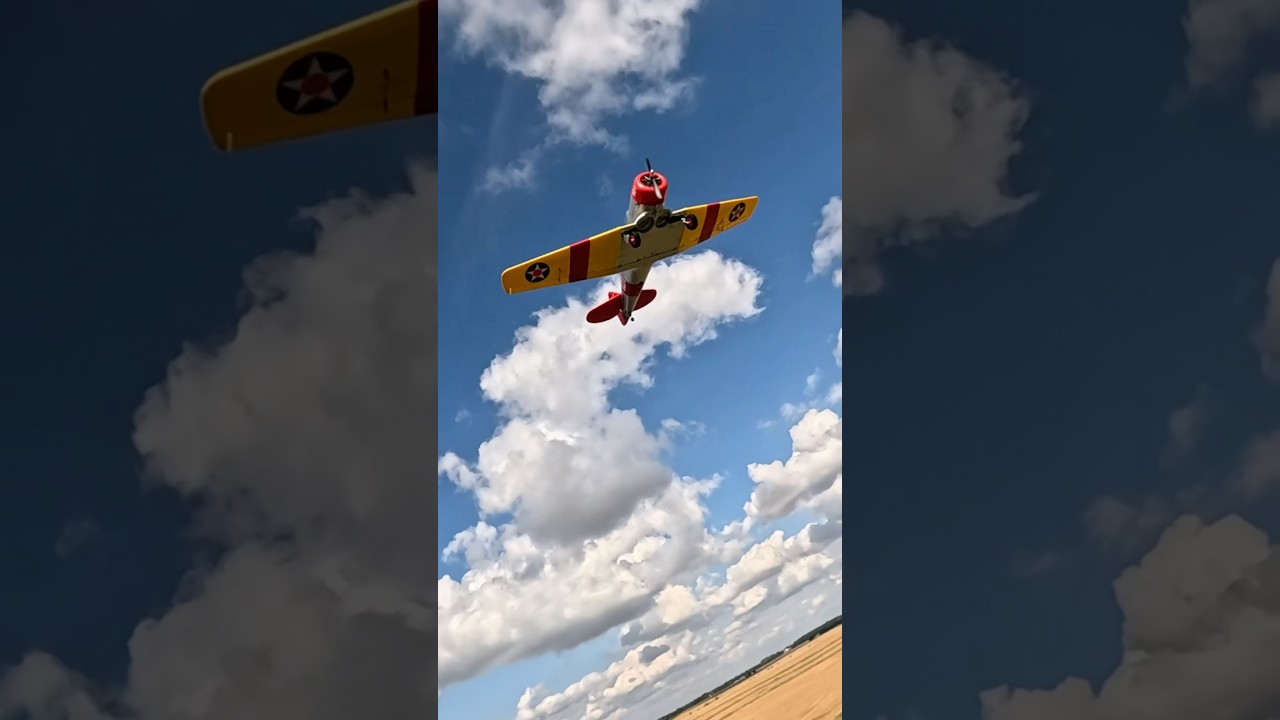 🚀 E-flite SNJ-5/AT-6 Texan Scale RC Plane Now In Stock!