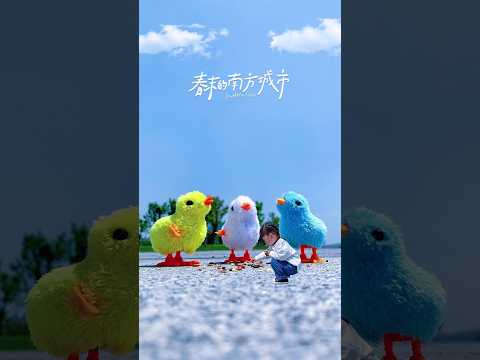 #cinematography #babbyshoot #cinematicphotography #photography #photosync #photographystyle #cute