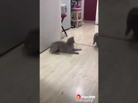 هل أنت مستعد لمواجهة إخوانك اليوم؟ 📝