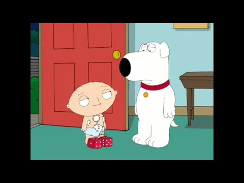 Family Guy: Best of Stewie Season 5 (Part 1) 🧸