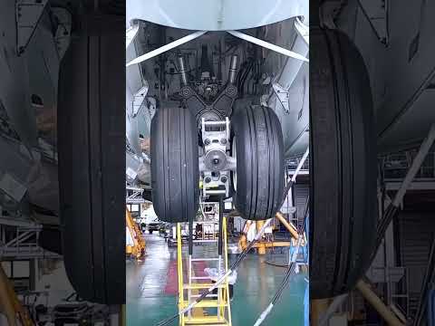 787 Landing Gear Test: Safety in Action