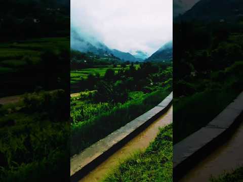 Afghan simple life 3.2 M views