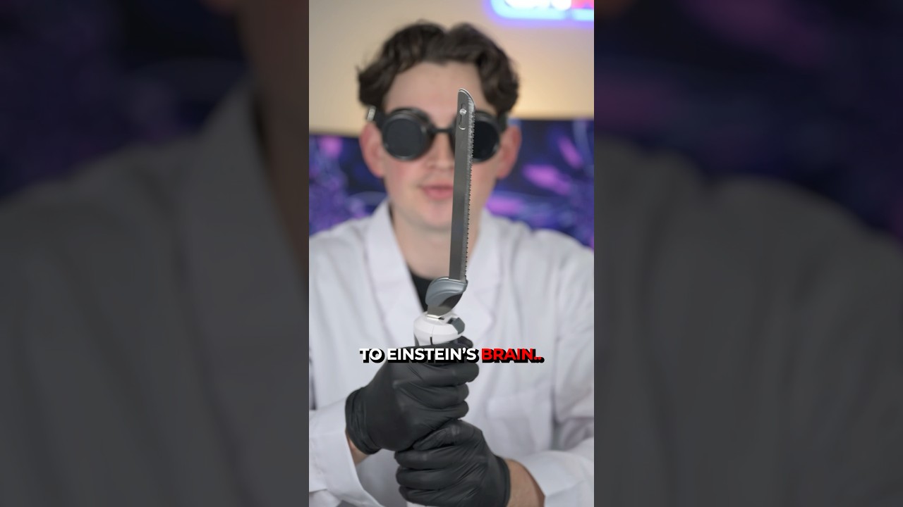 The Theft of Einstein’s Brain 🧠