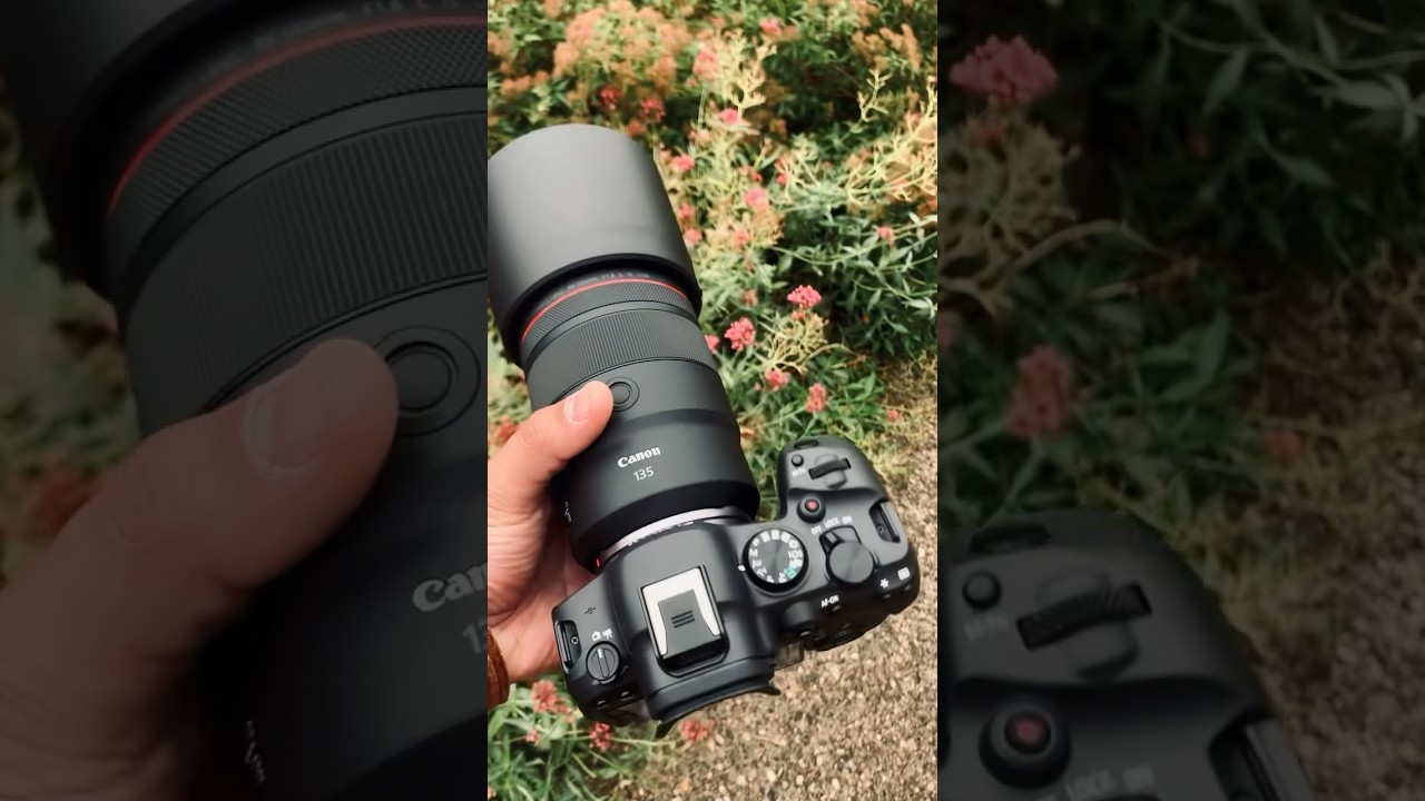 Canon R6 Mark II & RF 135mm F1.8 for Wedding 📸