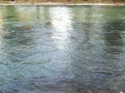 Voidomatis River near Konitsa, Greece 🌊