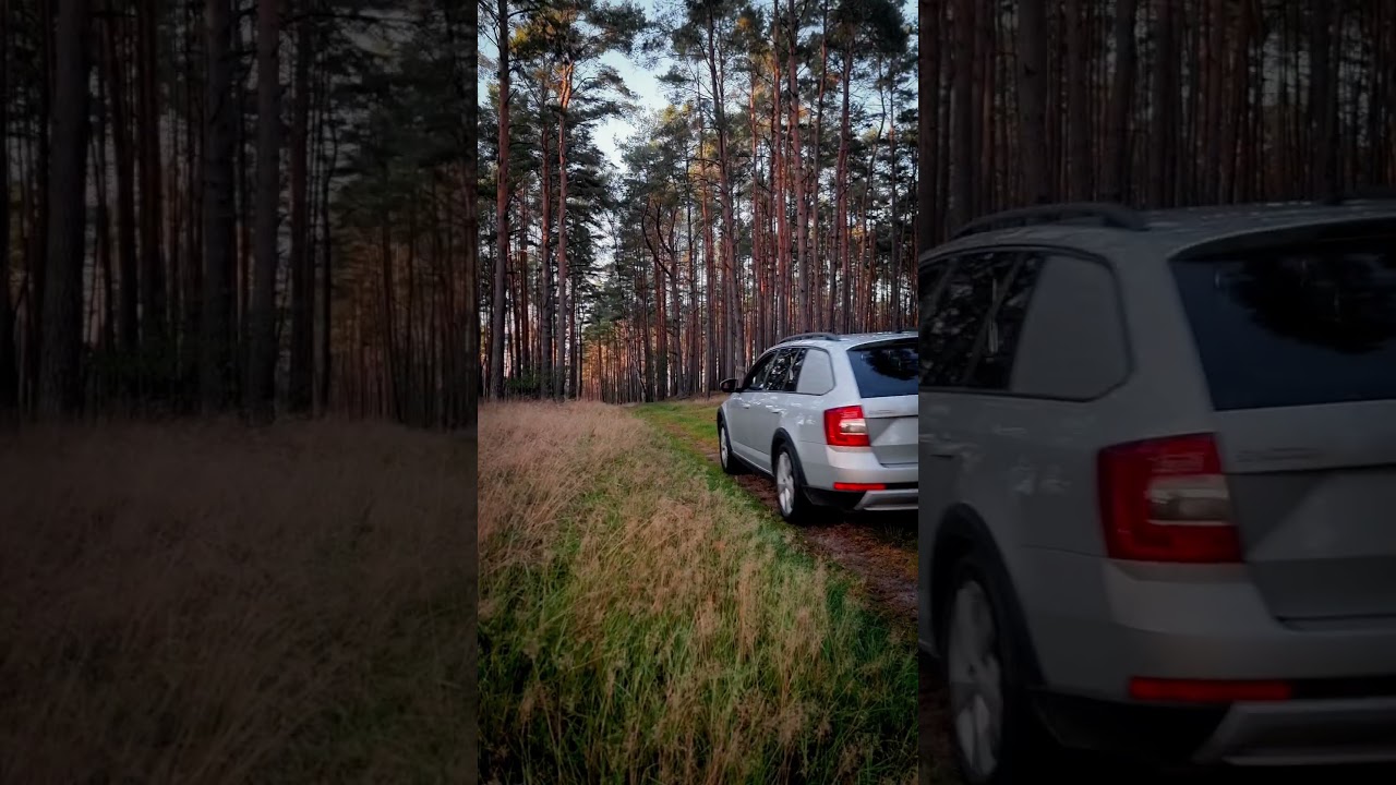 BF2 on Tour 🚜: Exploring Forestry, Agriculture & Heavy Transport