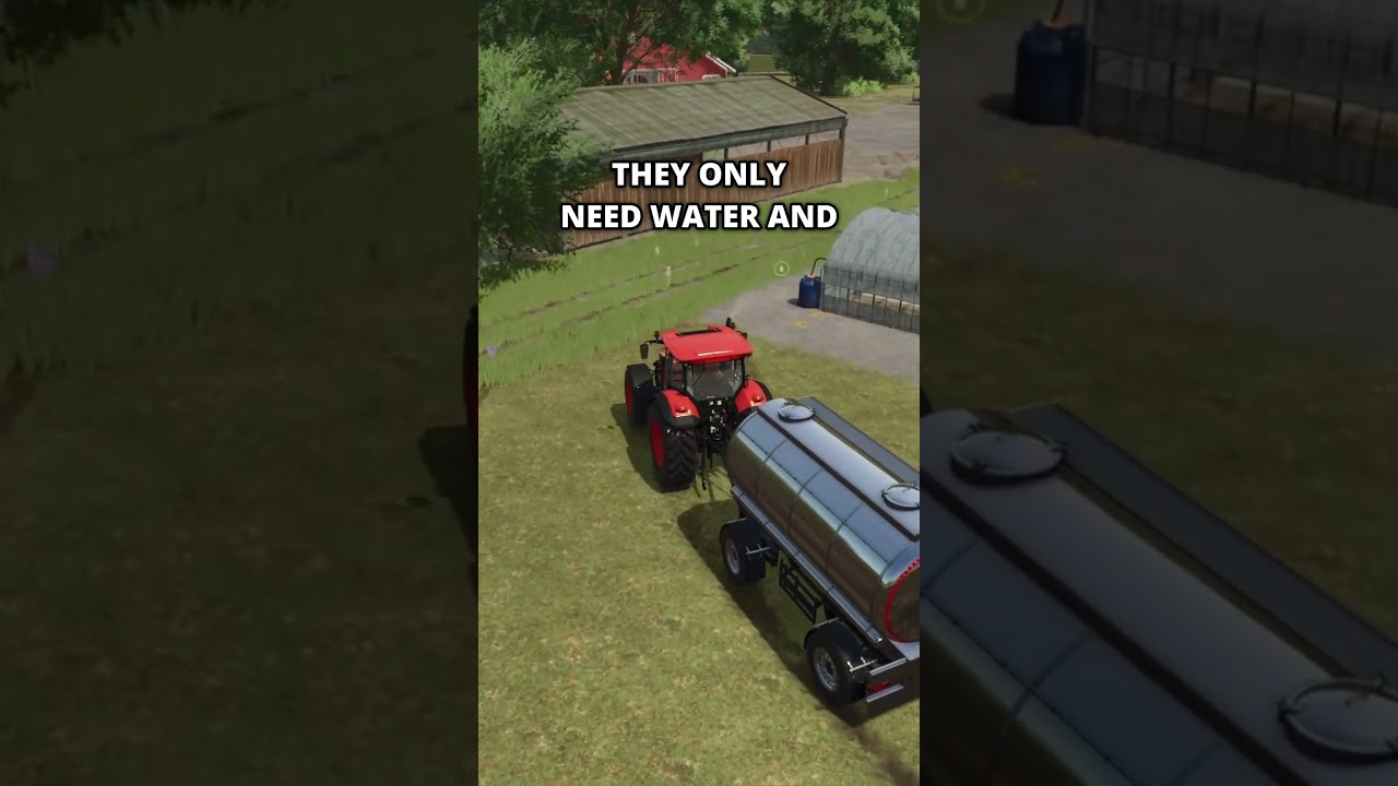 HOW TO MAKE MONEY in FS25 - tutorial for beginners