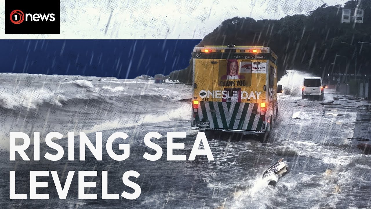 Rising Sea Levels Threaten New Zealand Coastlines 🌊