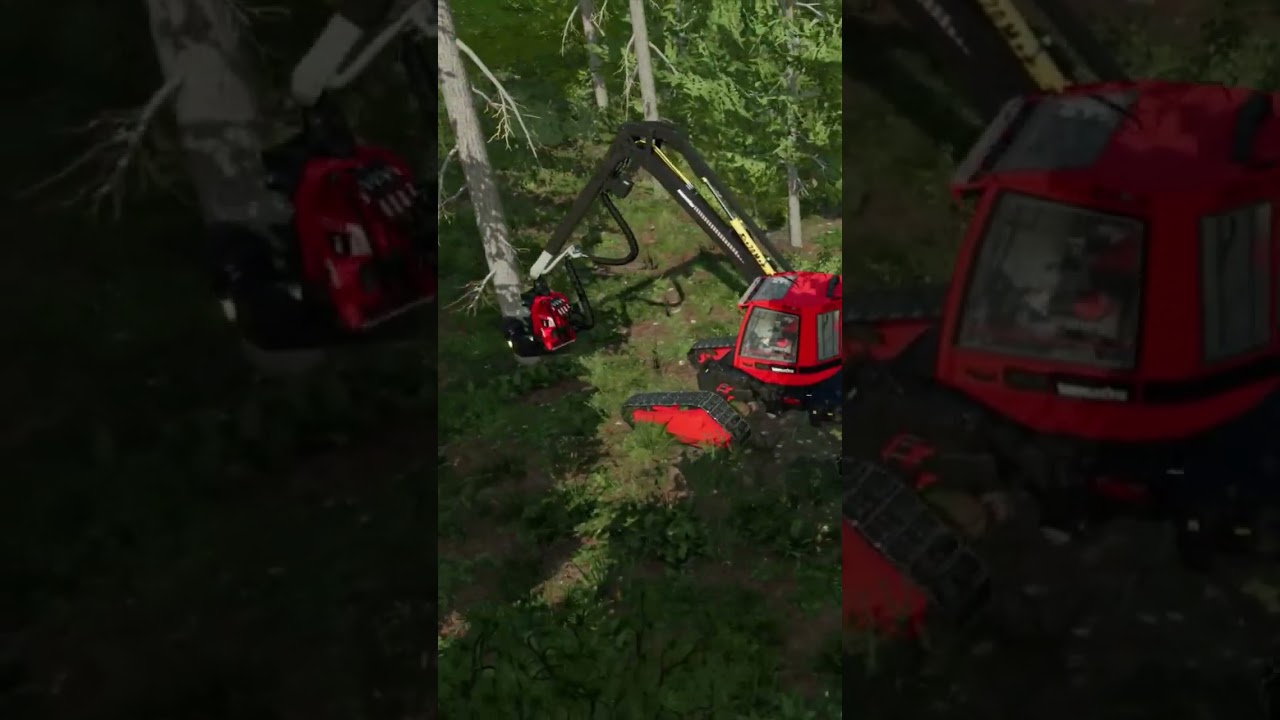 Timber Cutting in FS22 🌲