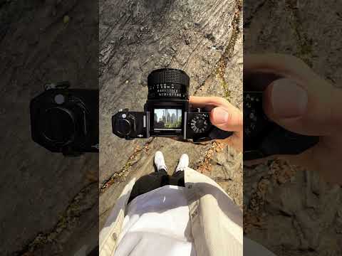 📸 NEW YORK CITY: 35mm Film Photography with Canon F1 + Fujicolor C200 in Central Park, Manhattan, NY