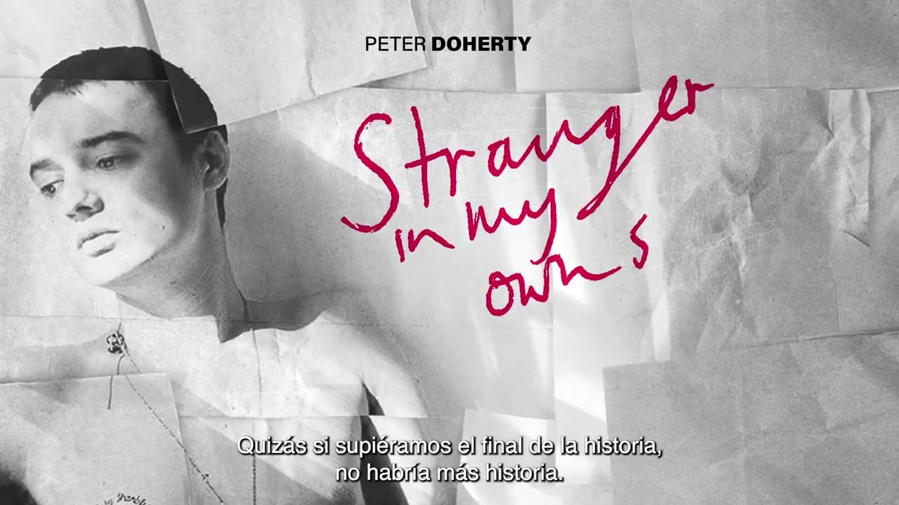 Peter Doherty: Stranger In My Own Skin 🎸