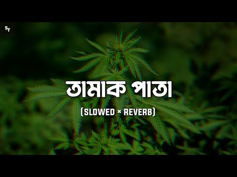 Tamak Pata (Slowed & Reverb) | Bengali Lofi Mix 🎶