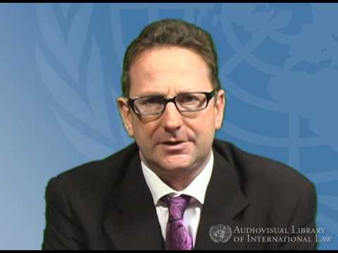 Andrew Clapham on Non-State Actors & International Law 🌍