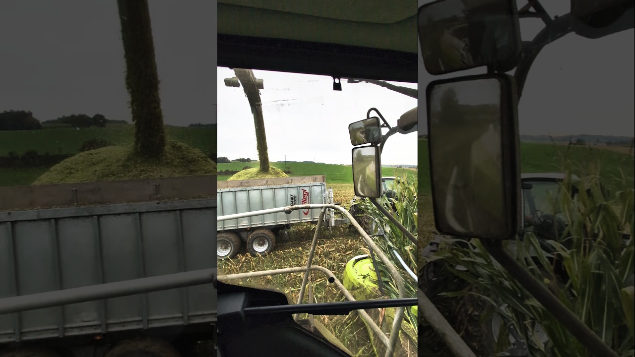 Entdecken Sie die neuesten Trends in der Landwirtschaft 🚜