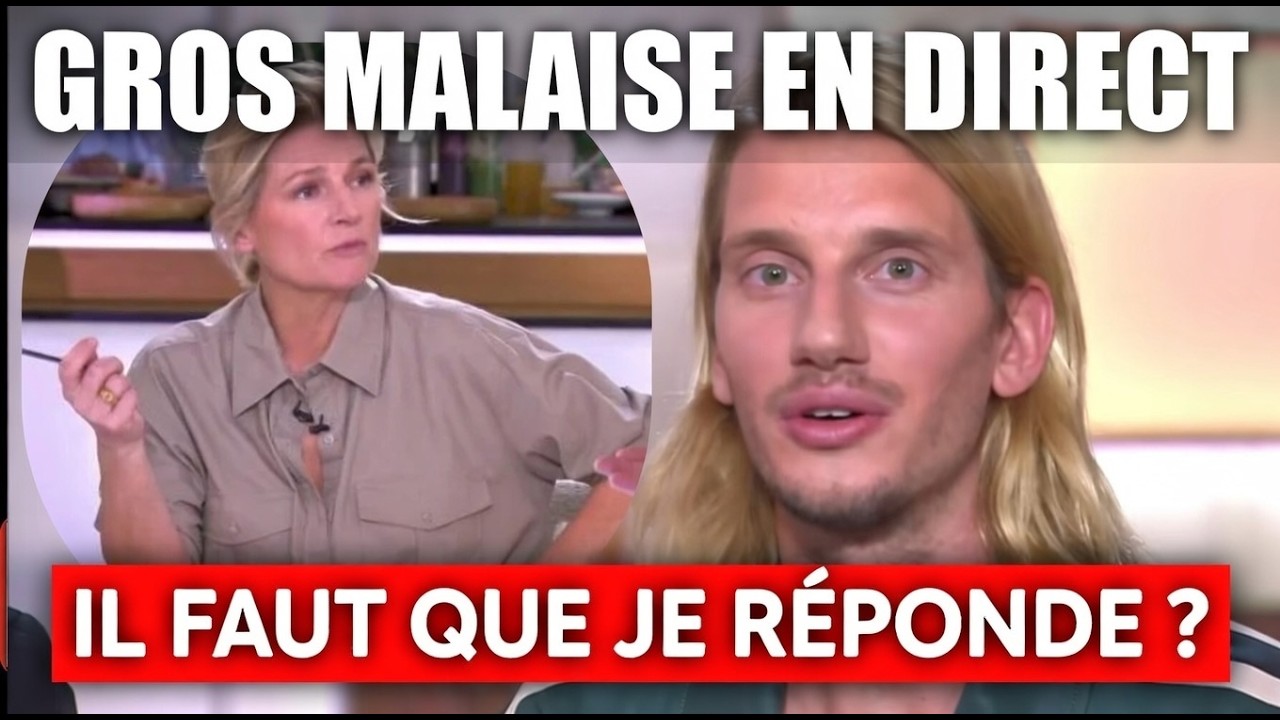 C a vous : Anne Elisabeth Lemoine provoque le malaise face Ă Paul Mirabel