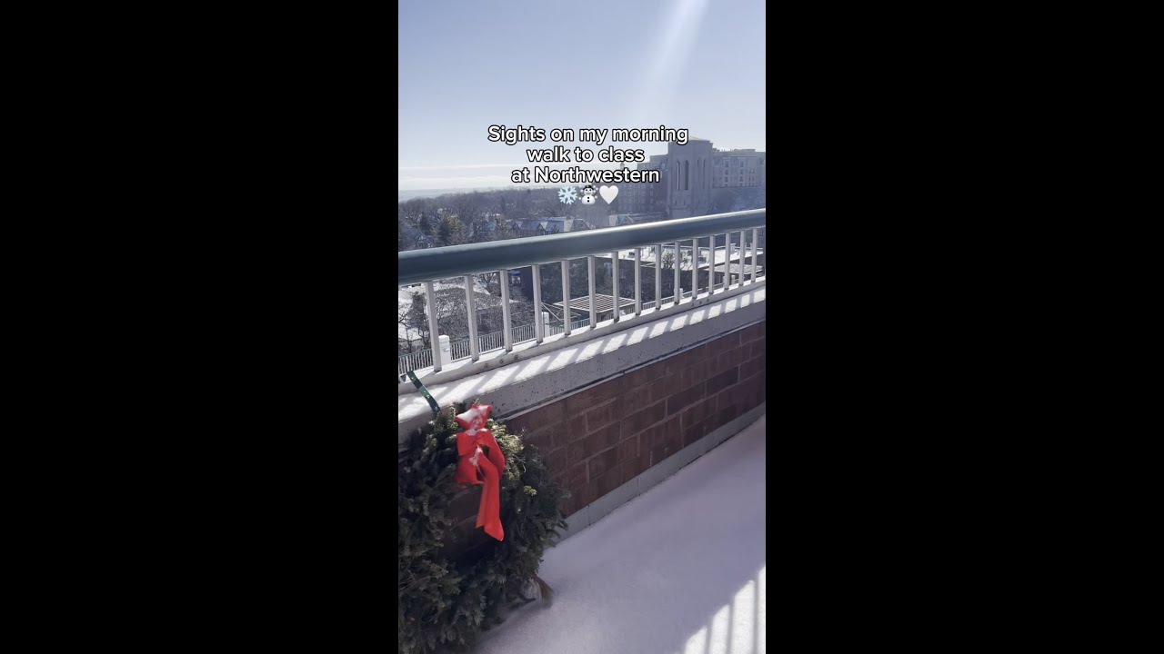 Winter Campus Walk ❄️