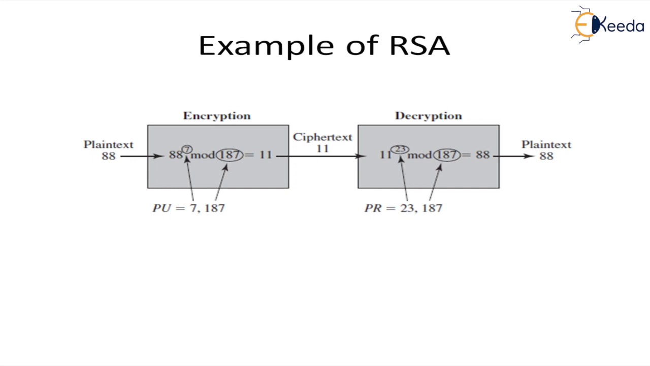 Master RSA Digital Signatures: Secure Your Data with Proven Cryptography 🔒