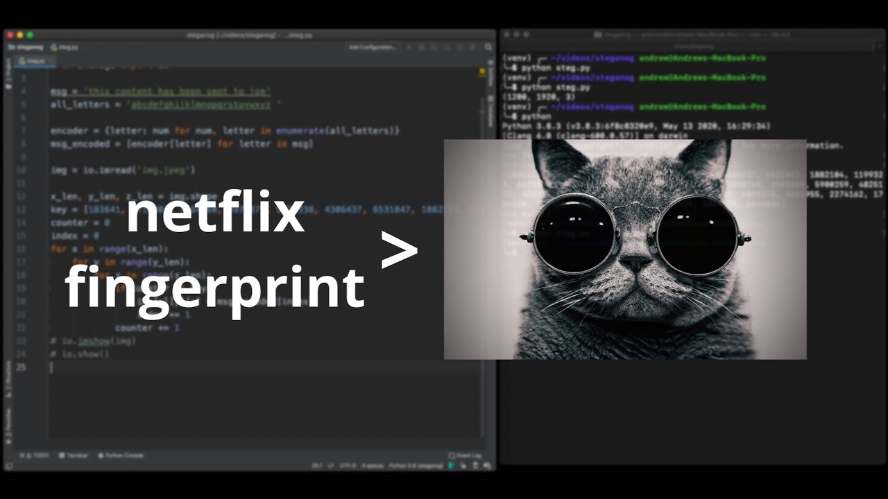 Steganography in Python: How Netflix Detects Torrents π₯