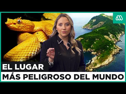 El lugar más peligroso del mundo: Isla de las Cobras