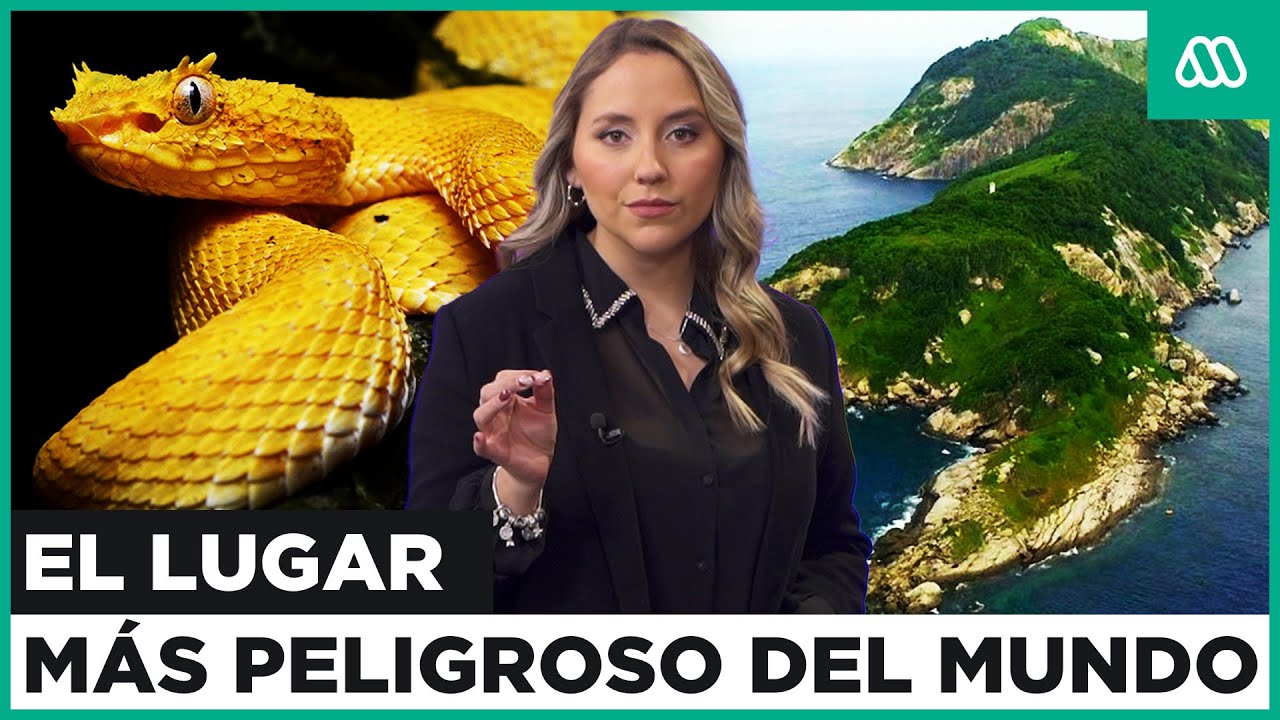 Isla de las Cobras: El Lugar Más Peligroso del Mundo