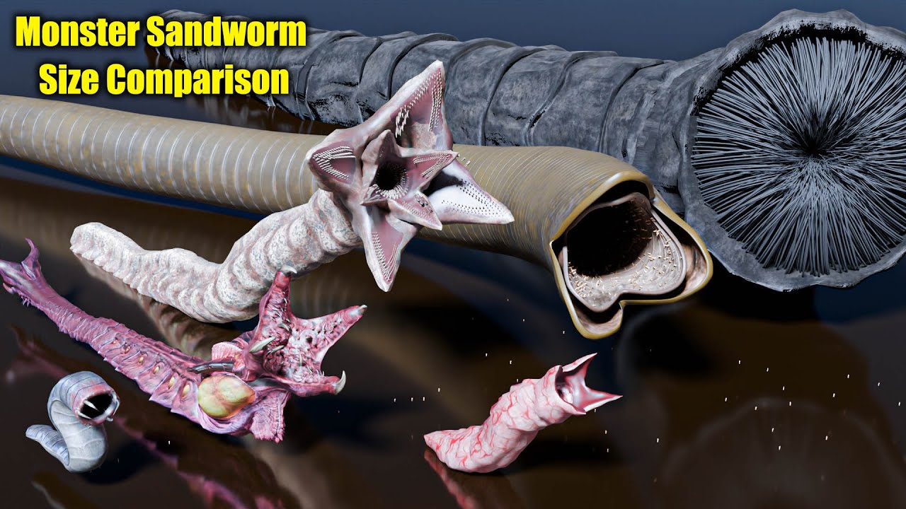 Monster Sandworm Size Comparison 🐍