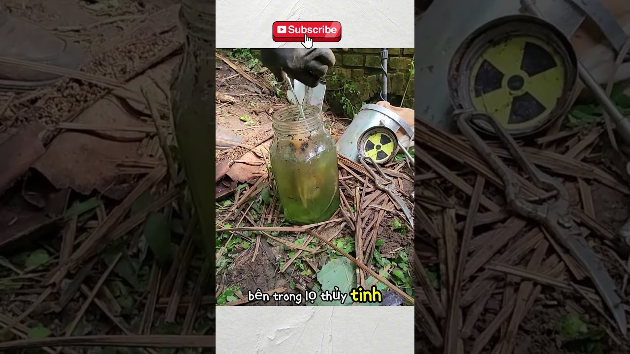 Kỳ Lạ Sinh Vật Gặp Khi Săn Kho Báu 🗺️