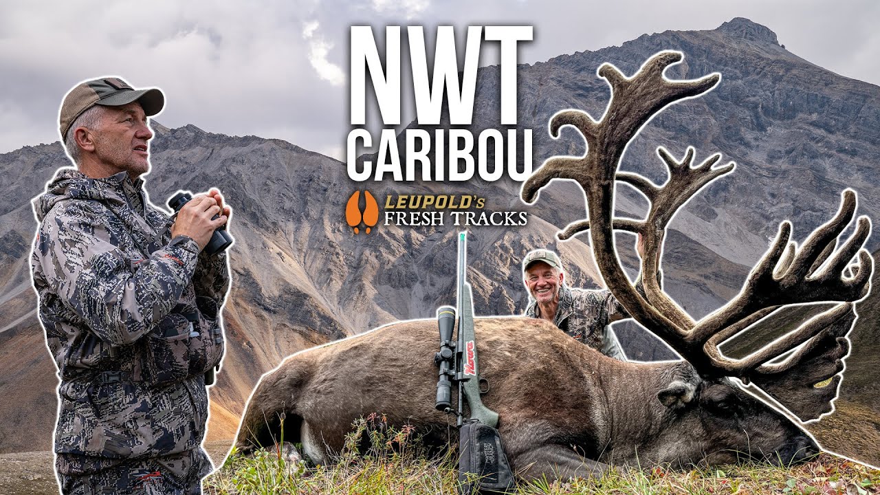 Epic Velvet Caribou Hunt in the Mackenzie Mountains 🦌