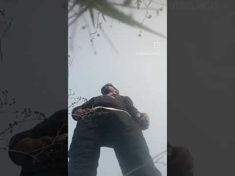 #habibshorts #habibiofficial #newtrendingsong #habibiremix #arabicmusic #song #arabicsong #dance