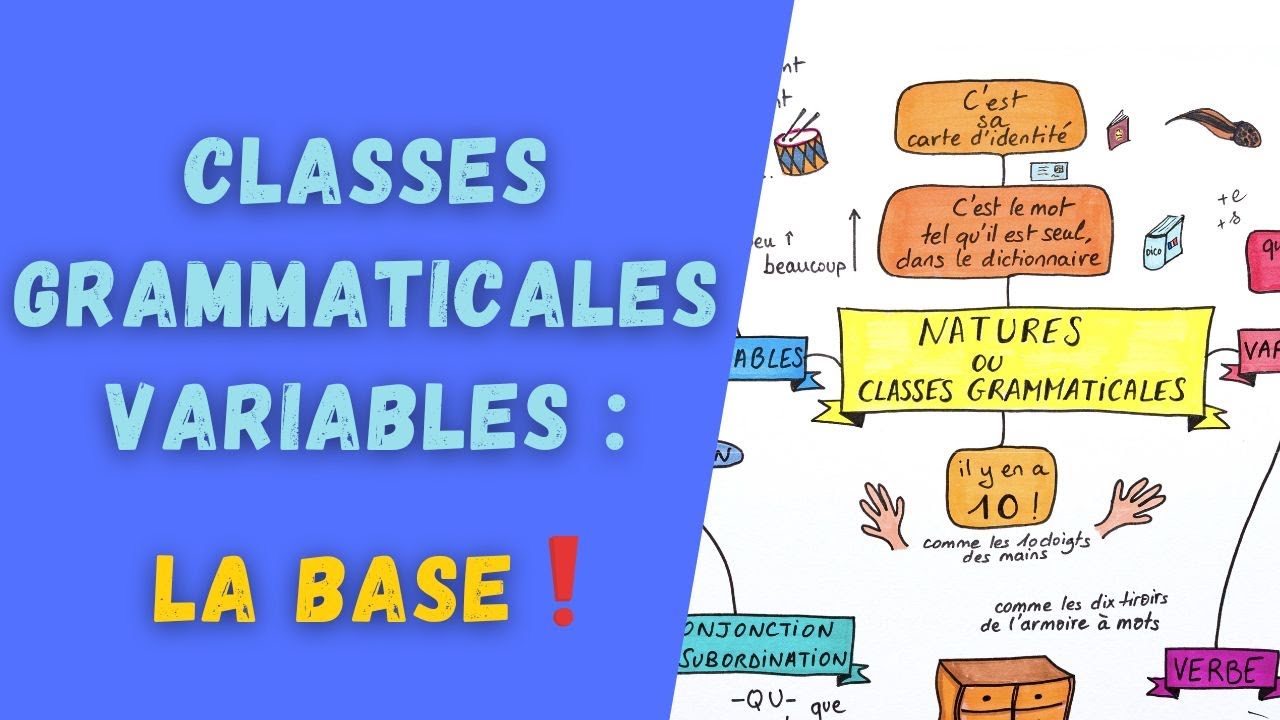 Révisez les classes grammaticales facilement 📚