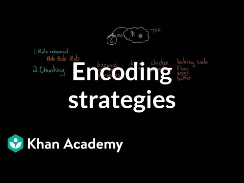Encoding strategies | Processing the Environment | MCAT | Khan Academy