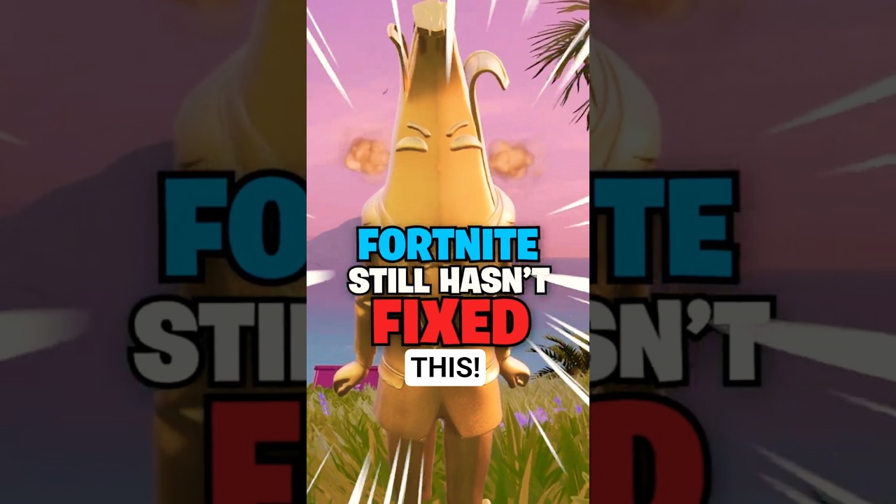 Fortnite Must Fix This Issue! π