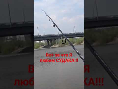 Рыбалка в Новосибирске 2024 🎣