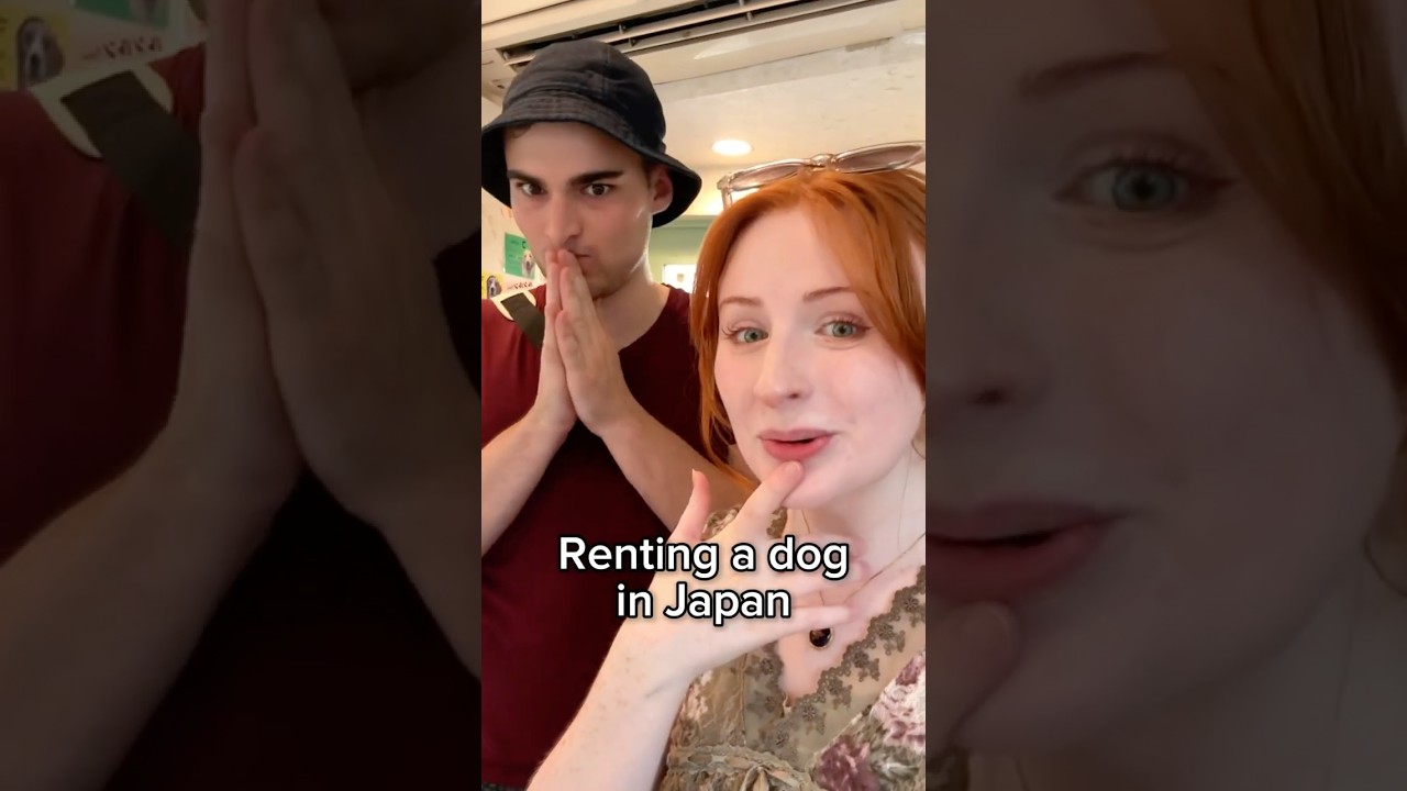Rent a Dog in Japan? ๐ Explore Unique Pet Rentals