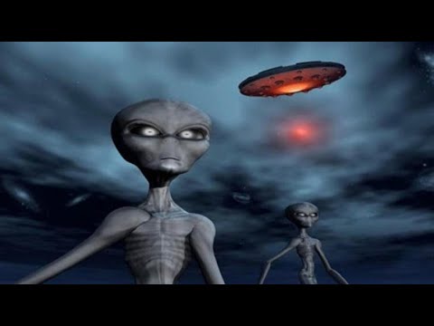 قصص مسموعة للنوم والمكفوفين 💤