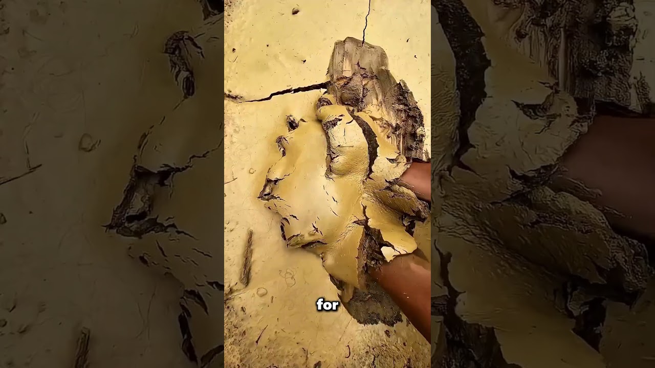 Easy Method to Extract Gold from Soil ✨