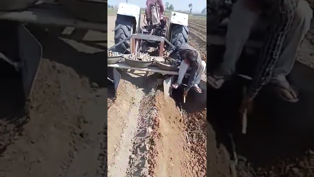 गन्ना बुआई का आसान जुगाड़ 🚜